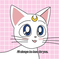 SAILOR MOON CAT ARTEMIS I'LL ALWAYS BE HERE FOR YOU T SHIRT  - Thumbnail 1