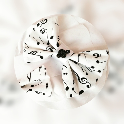 Musical Bow