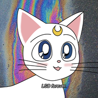 SAILOR MOON CAT ARTEMIS LSD FOREVER T SHIRT  - Thumbnail 1
