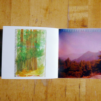 California Water Doodle, Abby Banks - Thumbnail 2