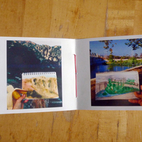 California Water Doodle, Abby Banks - Thumbnail 4