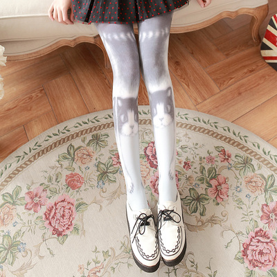 Harajuku cat pantyhose