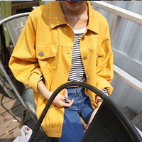 VINTAGE GINGER JACKET - Thumbnail 1