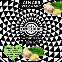 Ginger Kombucha  - Thumbnail 1