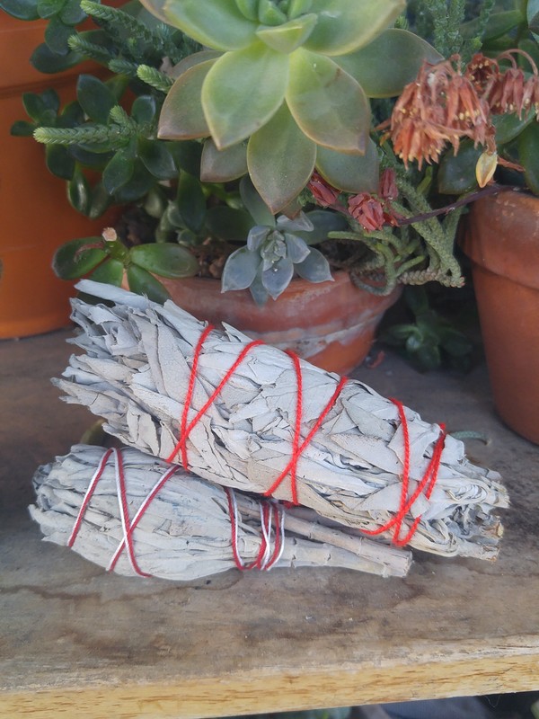 Large Sage Bundle 