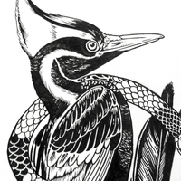 ambiguity  - Thumbnail 1