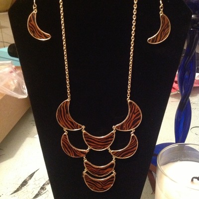 Beautiful necklace and matching earrings 