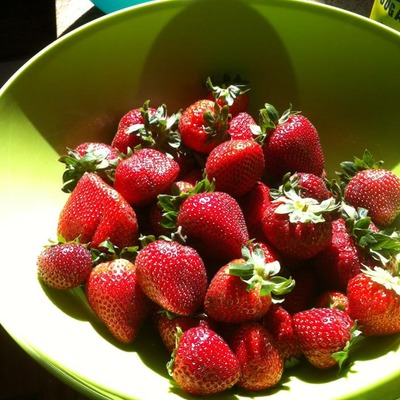 Strawberry vanilla bean jam, 4 oz.