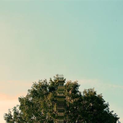 Sing, bird of prey - crystal embryo