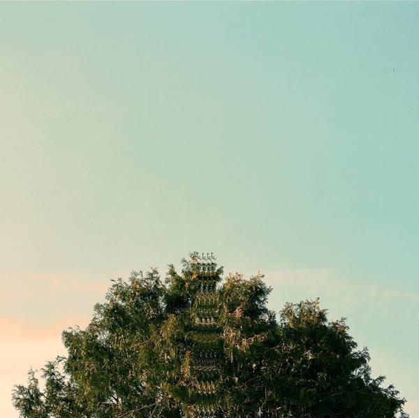 Sing, Bird of Prey - Crystal Embryo