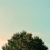 Sing, Bird of Prey - Crystal Embryo