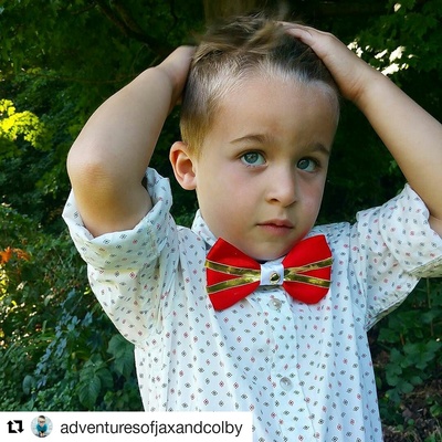 Prince charming bowtie