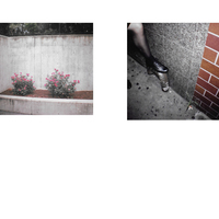 M. RAMONE - 'LOSS' ZINE - Thumbnail 1