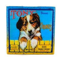 Handmade Coaster - Tony Dog Brand Orange Vintage Citrus Crate Label - Handmade Recycled Tile Coaster
