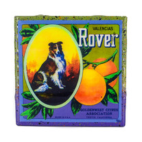 Handmade Coaster - Rover Brand Vintage Citrus Crate Label - Handmade Recycled Tile Coaster