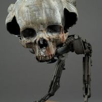 Kevid Derken (KLAV)  - Thumbnail 4