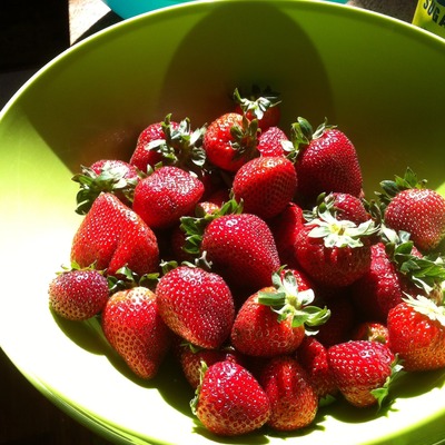 Strawberry vanilla bean jam, 8 oz.