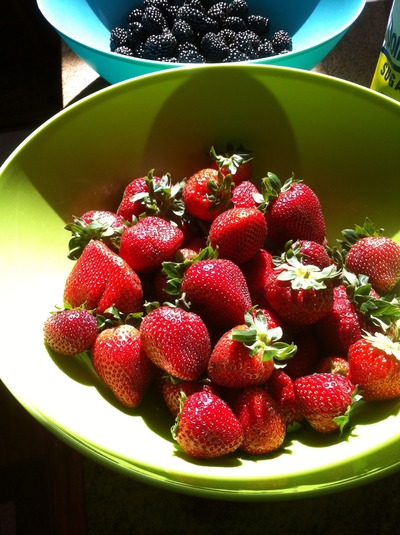 Strawberry Vanilla Bean Jam, 8 oz.