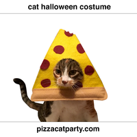 Pizzacat Cat Costume - Thumbnail 2