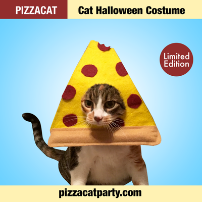 Pizzacat Cat Costume
