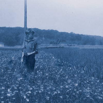 Melt "repossession blues" 12" lp (croquet)