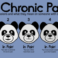 Chronic Painda Preorder - Thumbnail 2