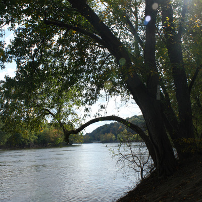 Fall in the delaware valley 8x10