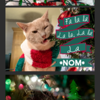 Catmas Cards - Thumbnail 4