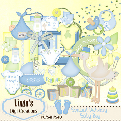 Special delivery baby boy (digi scrap kit)