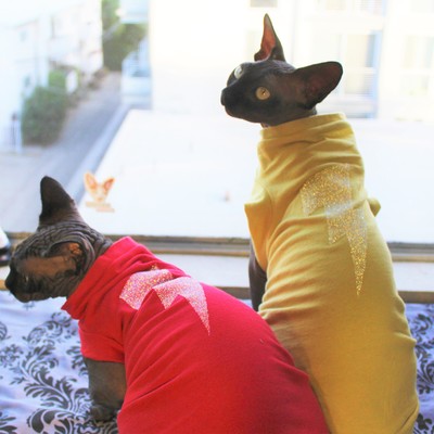 Swarovski® crystal flash upcycled shirts