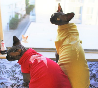 Swarovski® Crystal Flash Upcycled Shirts