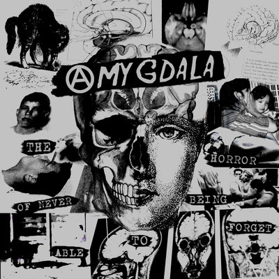 Amygdala - the horror of never being able to forget (reissue)