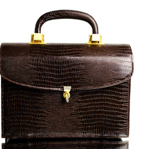 Vintage Brown 1950s Box Bag Clutch Purse Meyers Kelly Gold Lizard Alligator Handbag Fifties