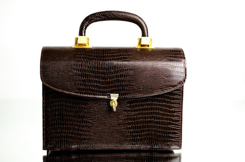 Vintage Brown 1950s Box Bag Clutch Purse Meyers Kelly Gold Lizard Alligator Handbag Fifties