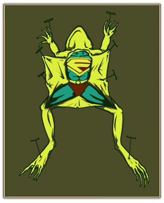 Superfrog Found
