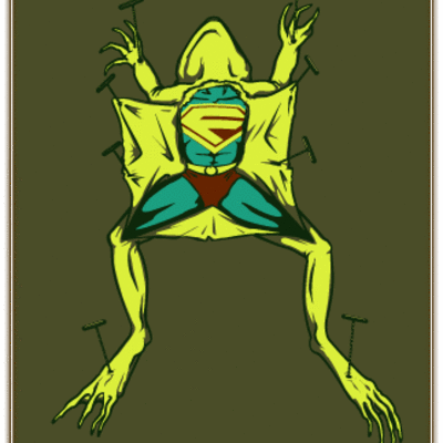 Superfrog found