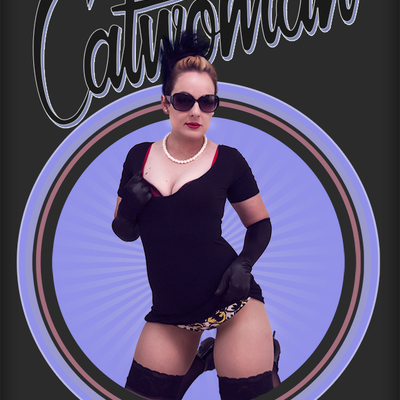 Dc bombshells catwoman sexy circle cosplay 11x17 print