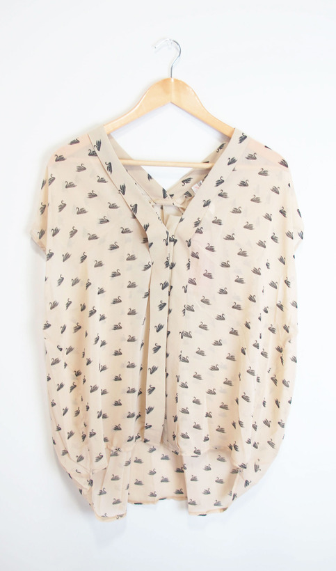 Swan in a Lifetime Top