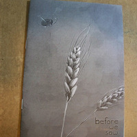 Before We Saw - Thumbnail 1