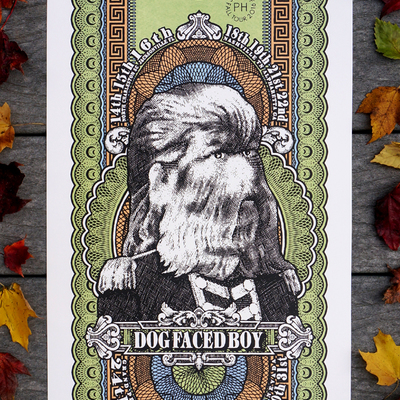 Phish dog faced boy fall tour 2016 print