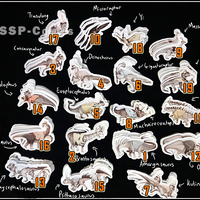 The Marching Band of the Dinosaurs Stickers - Thumbnail 1