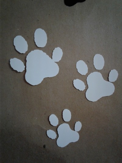 Doggie Paw Prints