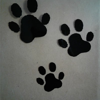 Doggie paw prints