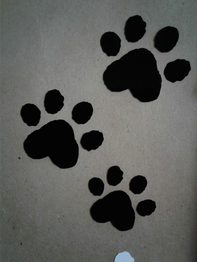 Kitty Paw Prints
