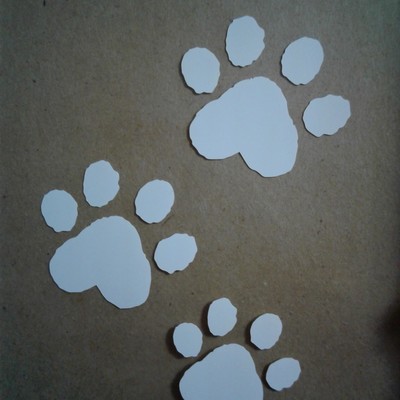 Kitty paw prints