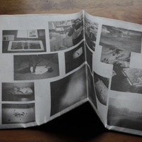 Zephyr - Thumbnail 2