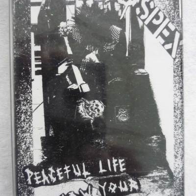 Aspex - peaceful life is now your nightmare mc - Thumbnail 4