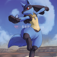 Tai Chi with Lucario - Thumbnail 2