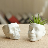 Gardening Flowerpot Fleshy Creative Flower Ceramic Pots Succulents Flowerpot Ornaments - Thumbnail 1