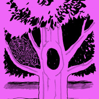 Apple Spider - Thumbnail 2